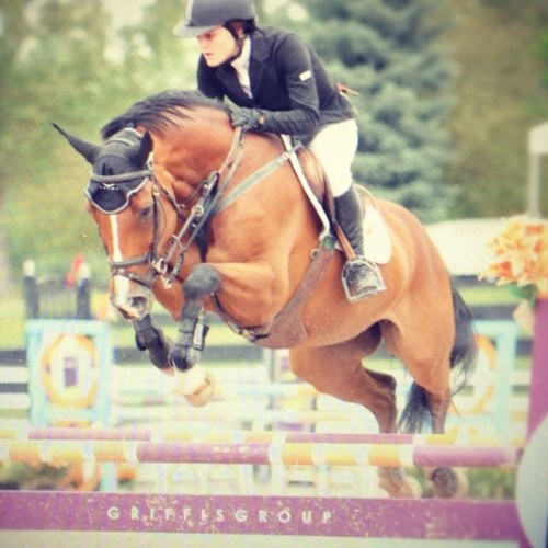 andreahassey's profile picture. 