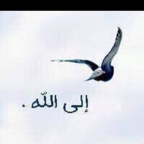 (صدقه جاريه للوالد صالح العبدالقادر والوالده حصه السويلم وابنتهما جواهر العبدالقادر) اللهم ارحمهم، واسقي قبرهم وعطّر مشهدهم، وطيّب مضجعهم، وآنس وحشتهم.