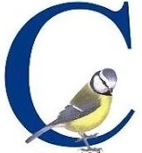 C100LL's profile picture. De club van honderd voor Lokaal Liberaal in Stichtse Vecht.