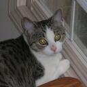 Candace Stone - @swe1979 - Twitter