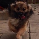 Caroline Torres - @cmtorres32 - Twitter