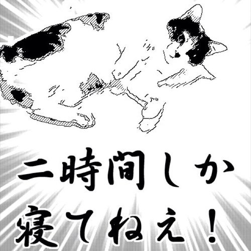 J2降格してJFLからリスタートした年からゼルビアサポになり、J2昇格したらユニ買うという自分ルールをようやく果たせた(●´ω｀●)
