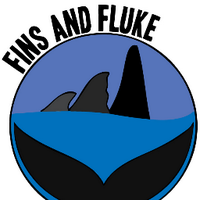 Fins and Fluke 🌊🐬(@FinsandFluke) 's Twitter Profileg