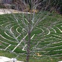 Maggie Stephen - @maggie_stephen - Twitter