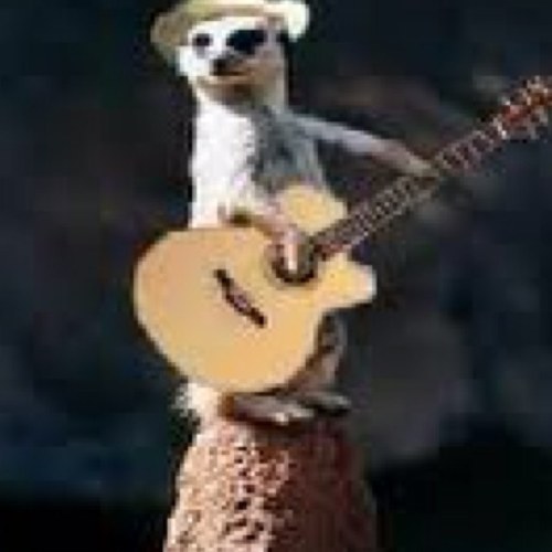 NugentDarren's profile picture. 