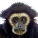 Benjamin KOST - @BenKost26 - Twitter