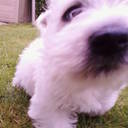 Peter Hogan - @hogan_peter - Twitter