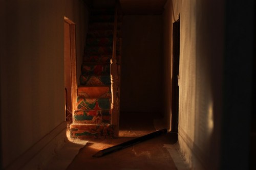 IlonaRobinson2's profile picture. I’m Ilona Robinson, a freelance photographer situated in Cardiff, South Wales in the UK.