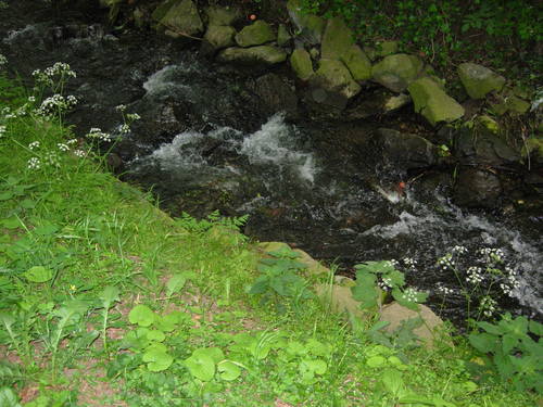 ProContract's profile picture. 