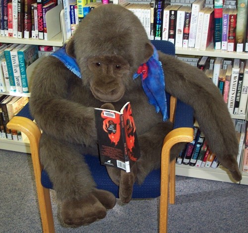 The Dorchester Memorial Public Library is a public library in the AWK region of the NBPLS. In Canada! (Not Dorset. Hello, Dorset!) Unofficial acct, on hiatus.