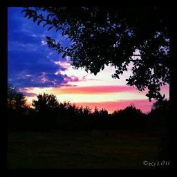 Biden/Harris 2020 Biden/Harris 💙 2024
Vote out all Republicans. Vote Democrats 💙 Save our Democracy.