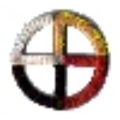 WhiteBuffaloCalfWoman TwinDeerMother, Sioux Task Force , Rainbow Warriors of Prophecy and Holy Jews https://t.co/r5UpAwryP6