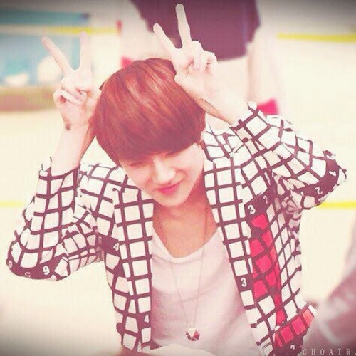 EXO-K Sehun bot (not real)
12.03 come back.