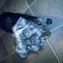 Martin Read - @Maizie01 - Twitter