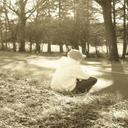 Greg Pierce - @GPierce312 - Twitter