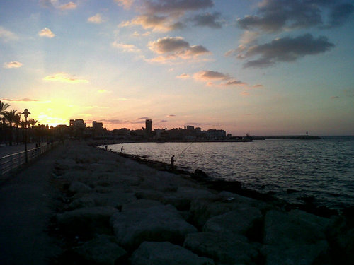 mhd_diab's profile picture. 