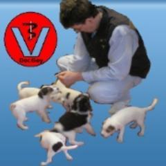 Tierarzt | Tierärztliche Praxis für Kleintiere | Gusborn | Wendland | Alternative Heilweisen | Bioresonanz für Tiere | Impressum: http://t.co/uRVOTPlA