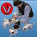 DocGoy Tierarzt (@vetgoy) Twitter profile photo