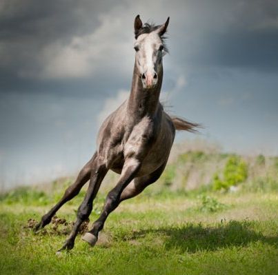 KonnikMagg's profile picture. Эффективная реклама для Вас! http://t.co/Y7GS3L8Y4q