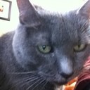 MELIDA niles johnson - @MELIDANiles - Twitter