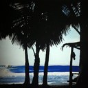 Oliver Pollard - @OliverPollard - Twitter