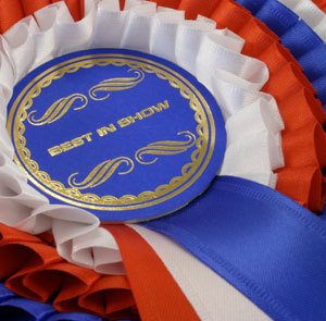 DogShow_'s profile picture. Tips, videos, articles and questions about Dogs and Dog Showing, for dog lovers. #Follow