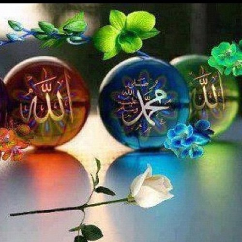 ( الذين آمنوا وتطمئن قلوبهم بذكر الله ألا بذكر الله تطمئن القلوب )