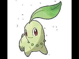 Hola soy chikorita un pokemon  y mascota de @soylenkagamine soy verde y soy macho
