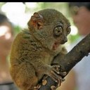 joanne whitehead - @joeyskol1080 - Twitter