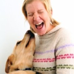 LeashWeCanDo's profile picture. 