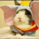 Haley malone - @chicknamedhaley - Twitter