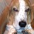 Waterwheel96's profile image