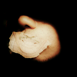Not a bb user.loves analogue photography.lazy tiny ass loves to sleep.expired body.