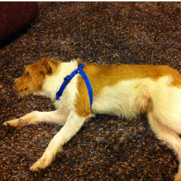 joedeke1's profile picture. 