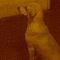 mikel † Monster (@mikelmonster2) 's Twitter Profile
