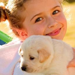 Liebe Hunde über alles und interessiere mich für neue Kontakte zu sympathischen Hundefans.