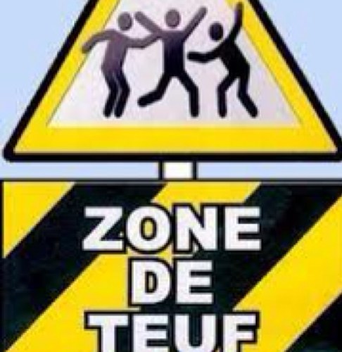 drachenmadness's profile picture. The madness