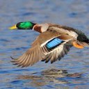 Paul Pedraza - @paul_pedraza - Twitter