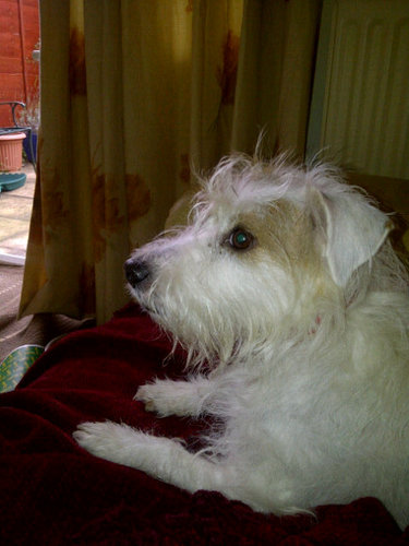 HelenPeck10's profile picture. 