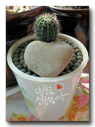 가고싶다!!멀리멀리~~
