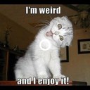 Jo Payne - @nutterjojo1973 - Twitter