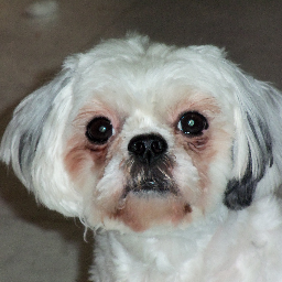 collie76108's profile picture. retired surgical nurse