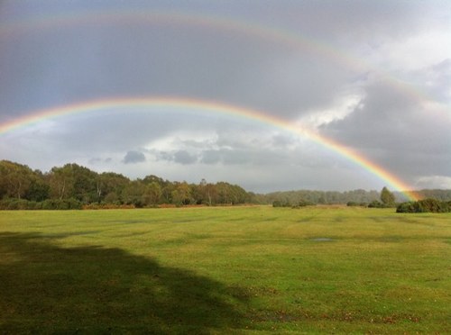 hillsarah17's profile picture. Fifty, I made it!