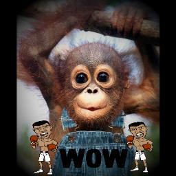 Dirimu akan menjadi diriku, Dirimu diharapkan menikmati tweet dariku. W0W!