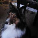 Alan Shelton - @alan1443 - Twitter