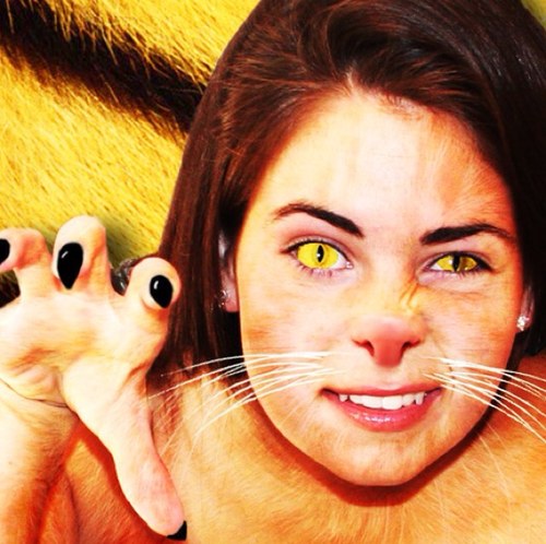 v_connell's profile picture. 