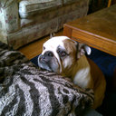 Doug Connell - @meitcha11 - Twitter