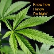 Know how I know I'm high?