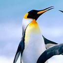 Hans-Edward - @HansEdward3 - Twitter