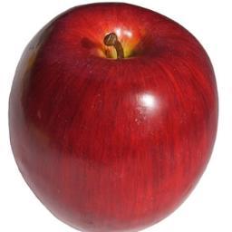 HomeschoolOnlin's profile picture. 